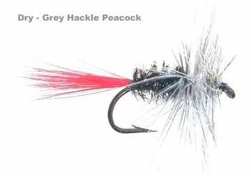 GREY HACKLE PEACOCK