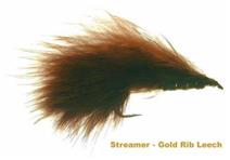 GOLD RIB LEECH