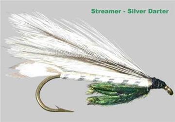 SILVER DARTER