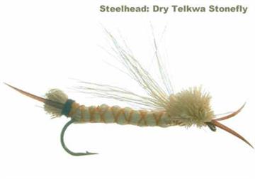 TELKWA STONEFLY