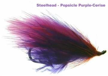 POPSICLE PURPLE CERISE