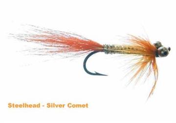 SILVER COMET