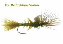 MAYFLY CRIPPLE