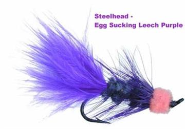 EGG SUCKING LEECH PURPLE