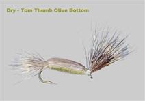 TOM THUMB OLIVE BOTTOM