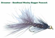 Bead Head Wooley Bugger Peacock