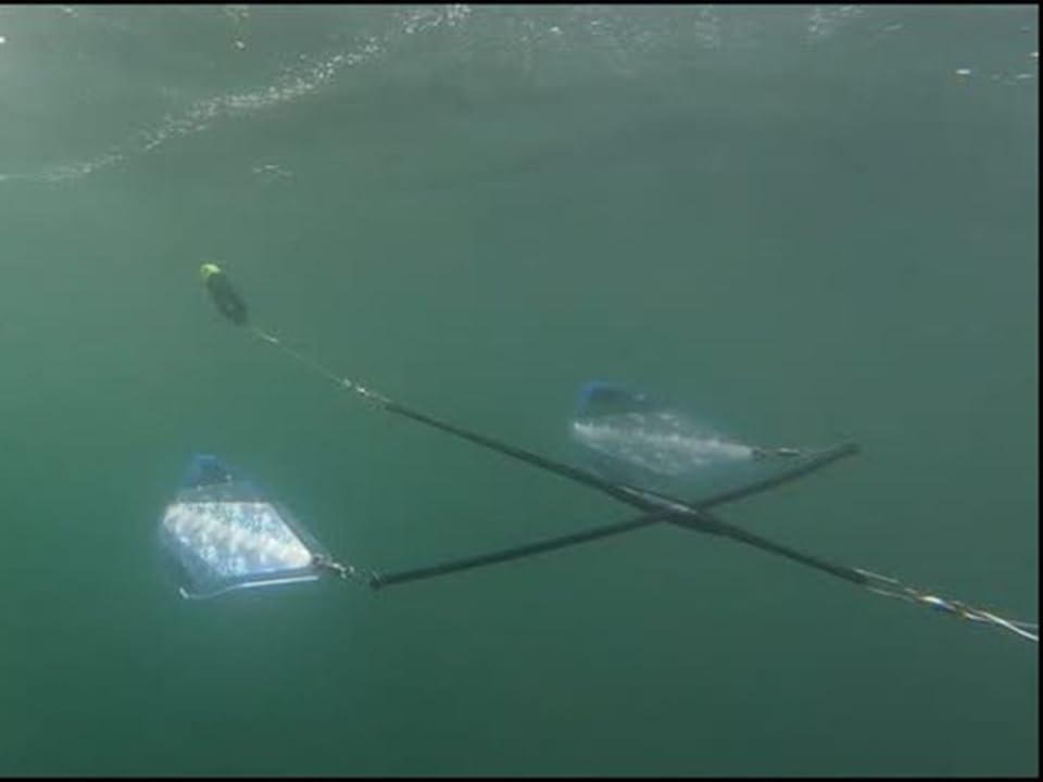 CruciFish Dummy Flasher Spreader Bar for downrigger trolling