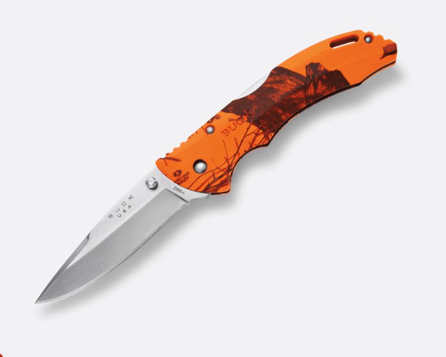 Buck 286 Bantam BHW Knife with Pocket Clip