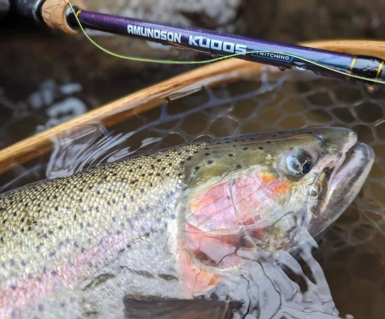 Kudos Twitching Spinning Rod