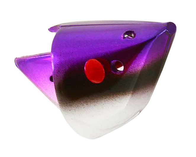 Rhys Davis Anchovy Special Teaser Head