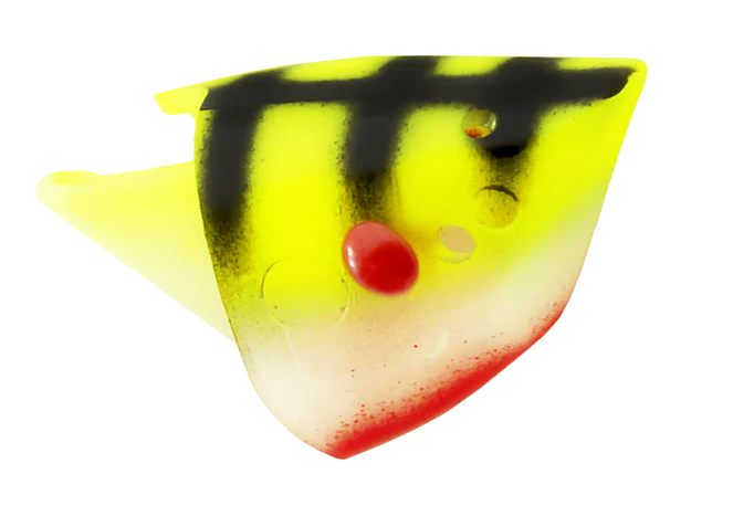 Rhys Davis Anchovy Special Teaser Head