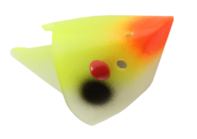 Rhys Davis Anchovy Special Teaser Head