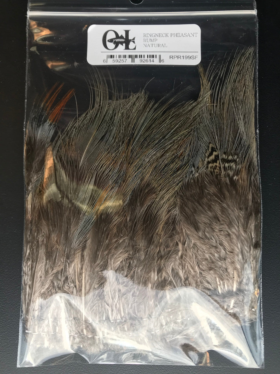 Ringneck Pheasant Rump Hackle  -Strung