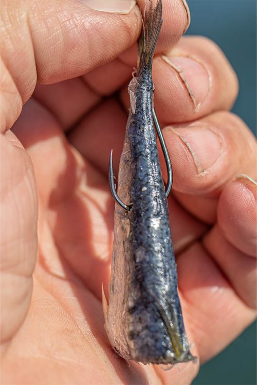 Owner SSW Cutting Point Hooks