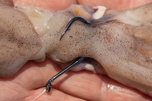 Owner SSW Cutting Point Hooks