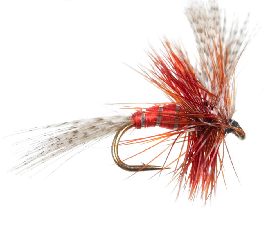 King Of Waters Fishing Fly