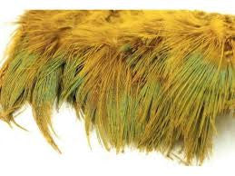 Ringneck Pheasant Rump Hackle  -Strung