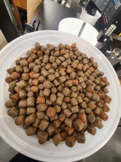 Berry's Crab Prawn Bait 5LB Bucket