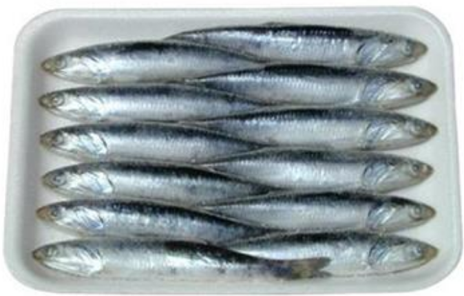 STORE ANCHOVY 5 1/2"-6" 50/C 10PER PKG