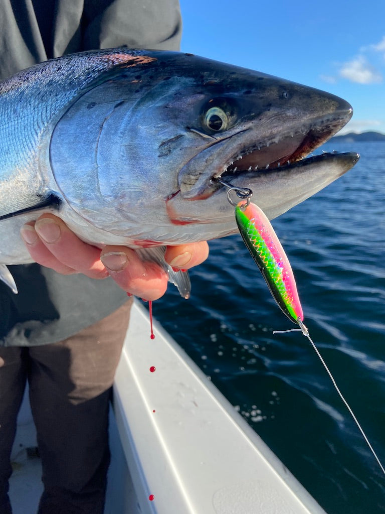 Sales - West Coast Tackle Baits (Internl use)